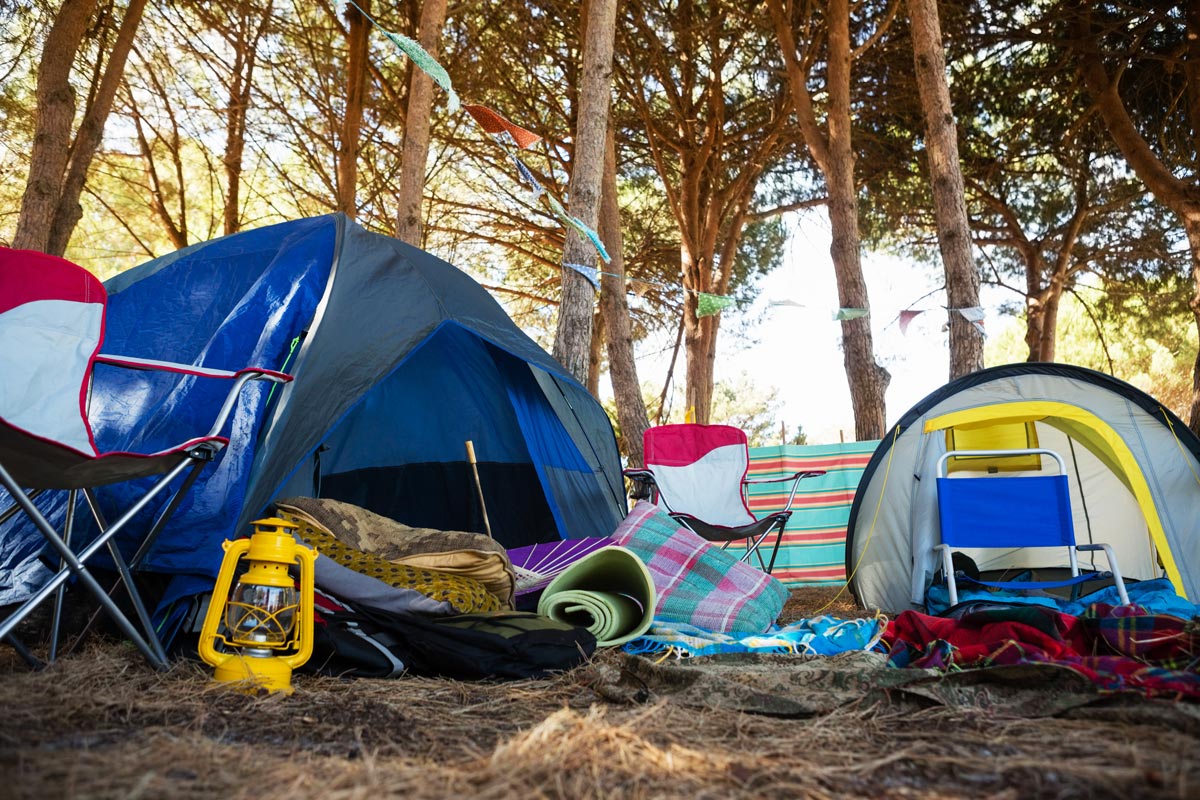 40 Camping Puns That Will Reduce Tent 40+ Best Camping images in 2020